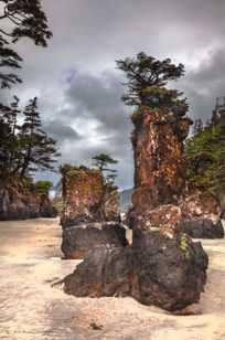 St. Josef Bay, Cape Scott-7772 St. Josef Bay, Cape Scott-7772